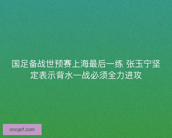 国足备战世预赛上海最后一练 张玉宁坚定表示背水一战必须全力进攻